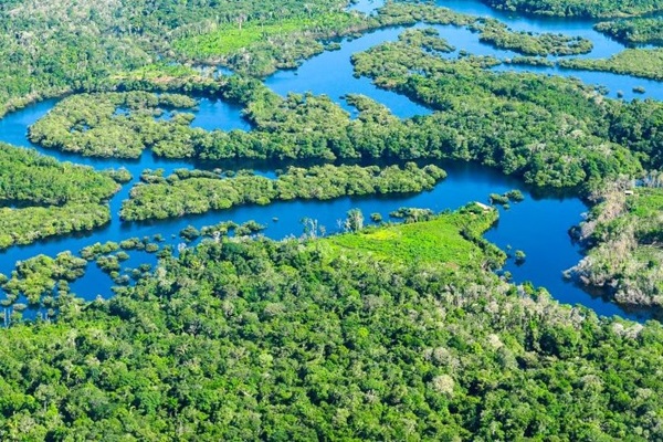 bridging-nature-and-climate-through-protection-of-primary-forests-with-high-ecological-integrity-copyright-ciat-neil-palmer