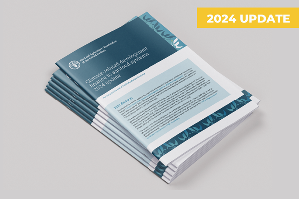 cf_pub2024