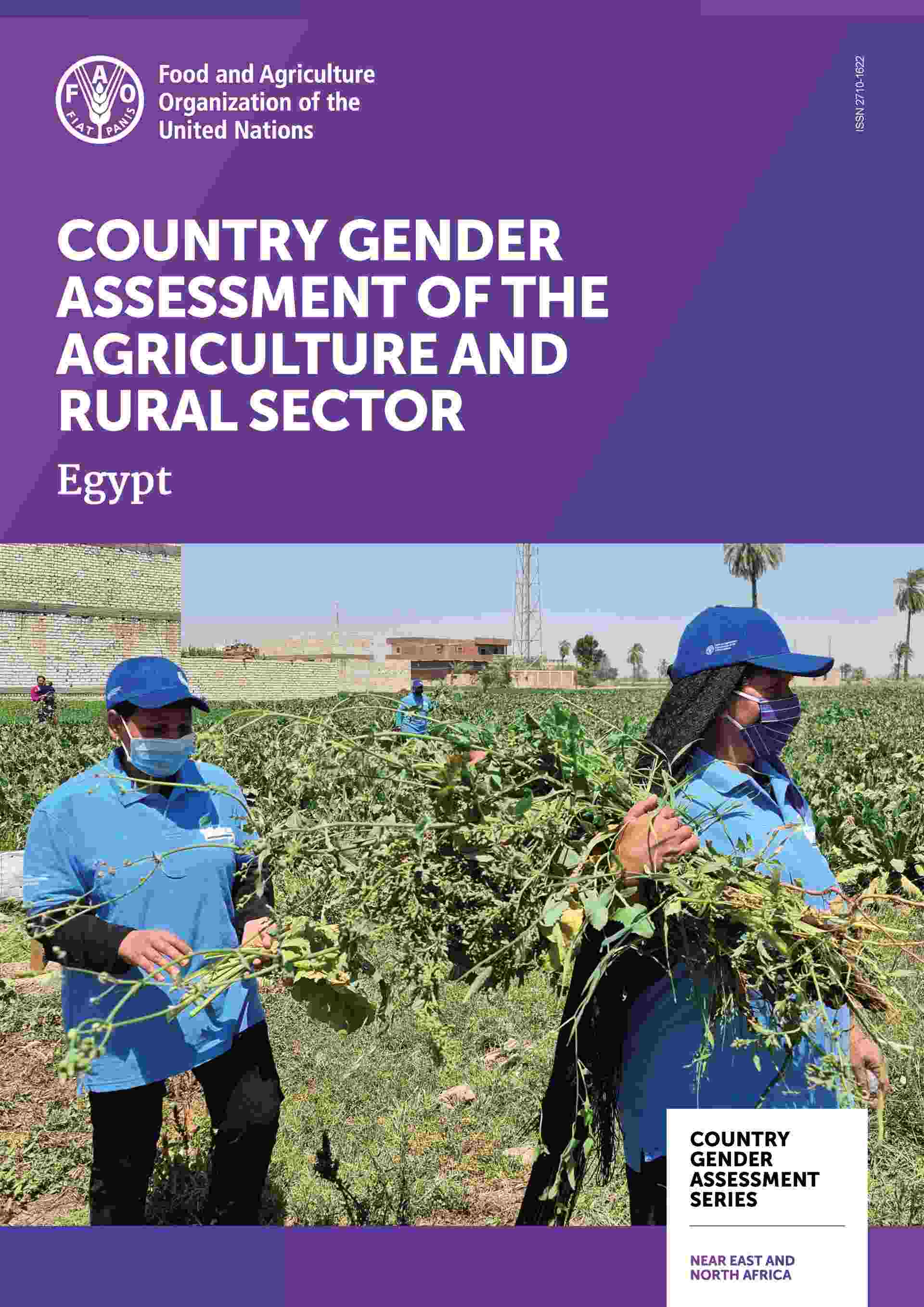 COUNTRY GENDER ASSESSMENT OF THE AGRICULTURE AND RURAL SECTOR Egypt