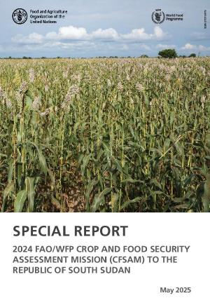 cd5136en.pdf