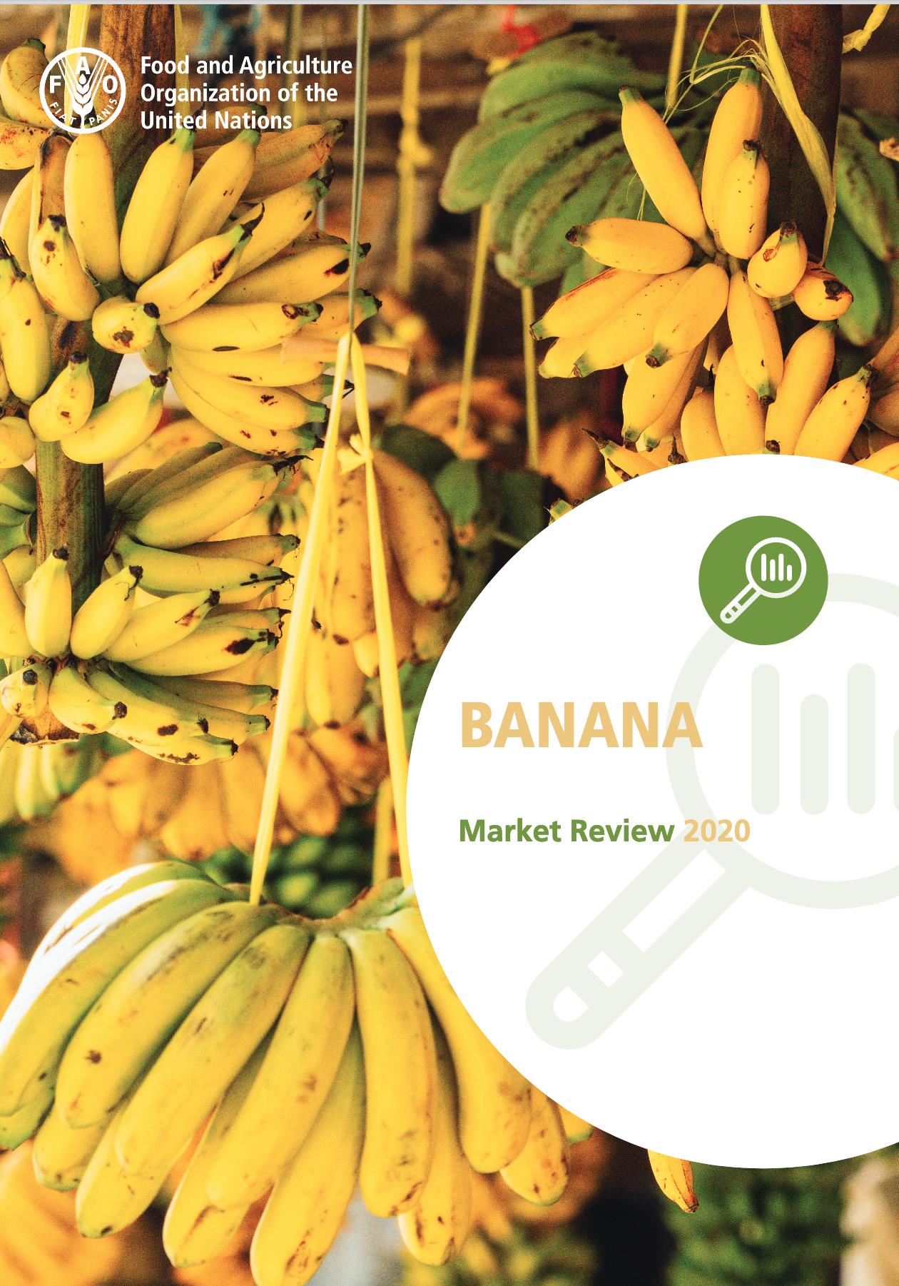 2_banana_market_review_2020