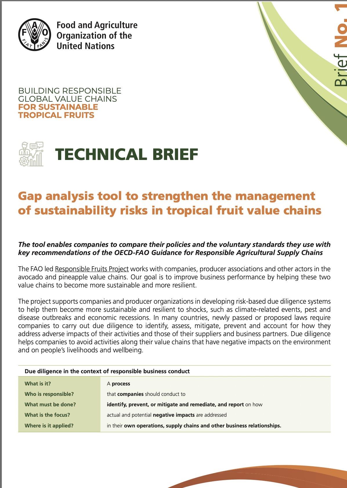 stf_technical_brief_no_1_oct_2022