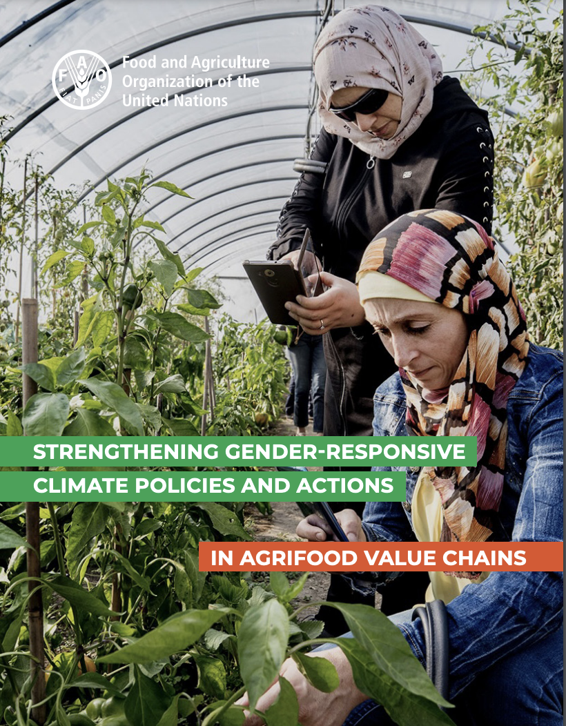 Strengthening gender-responsive climate policies and actions in agrifood value chains