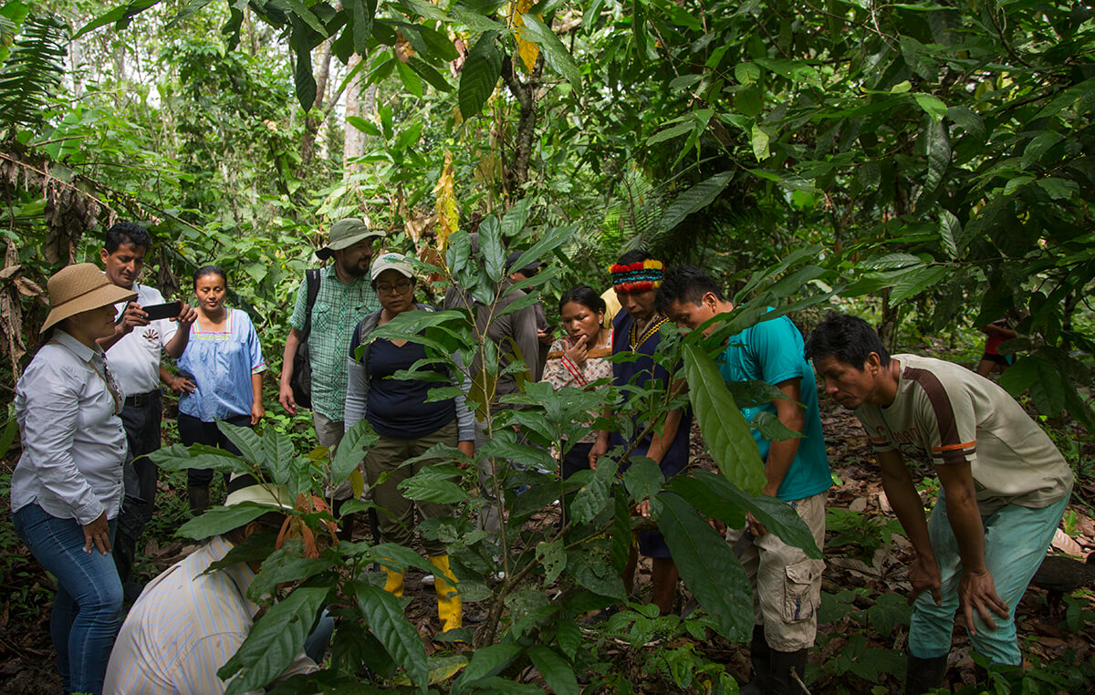 International Alliance for Climate Smart Agriculture