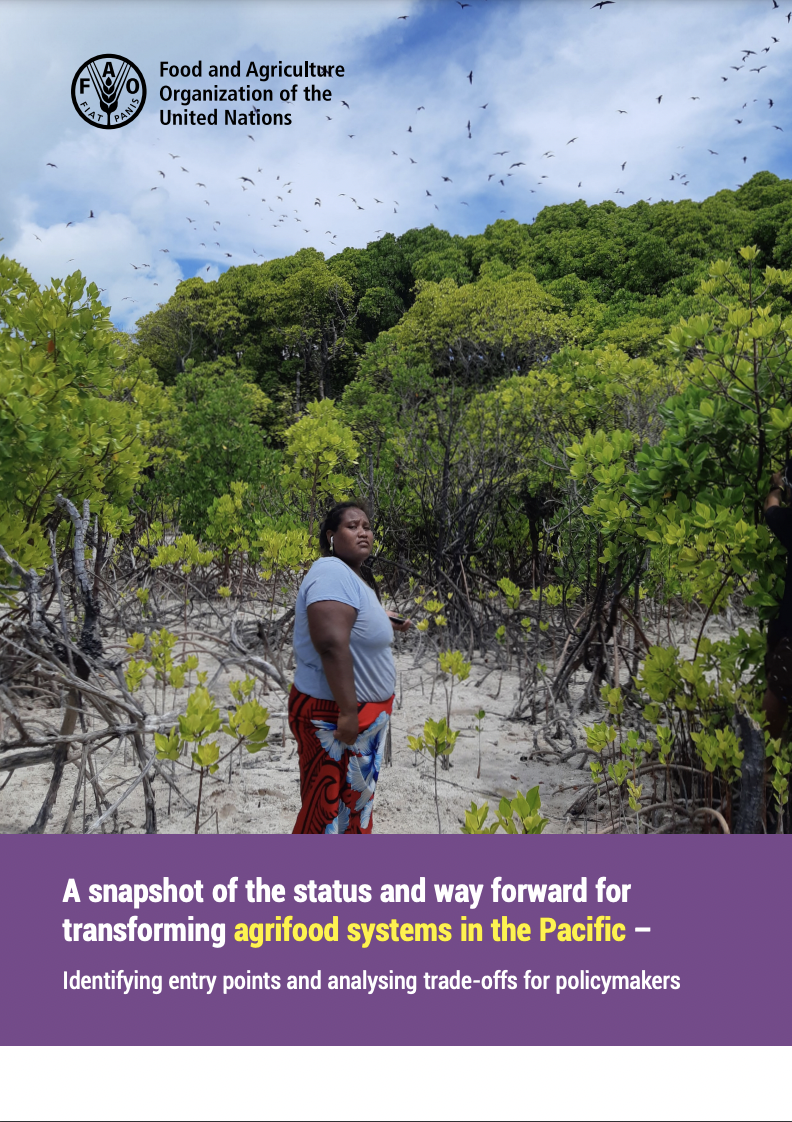 A snapshot of the status and way forward for transforming agrifood systems in the Pacific