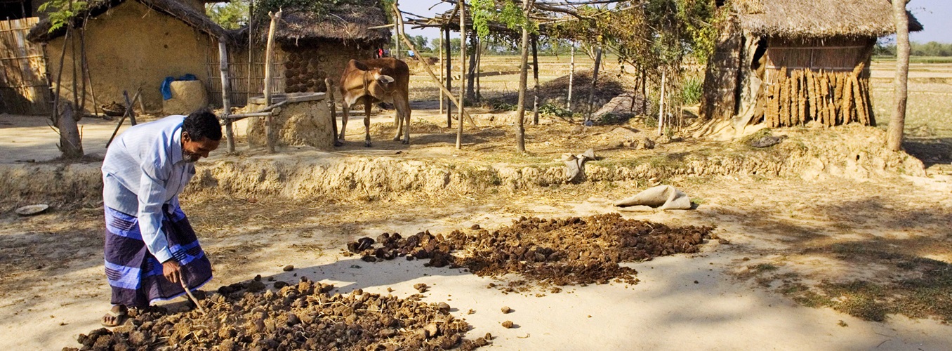 Bioenergy from dung. Bangladesh. © FAO/Giulio Napolitano Bioenergy from dung. Bangladesh. © FAO/Giulio Napolitano