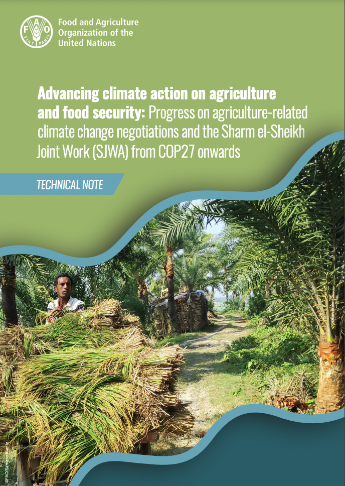 Advancing climate action on agriculture and food security