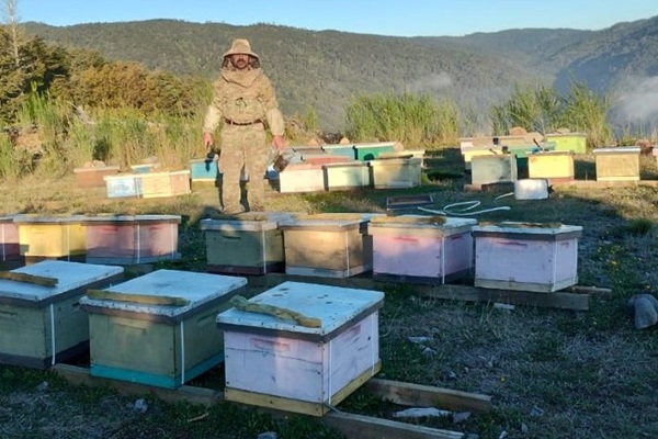 Beekeeper Marcelo Rodríguez Beekeeper Marcelo Rodríguez