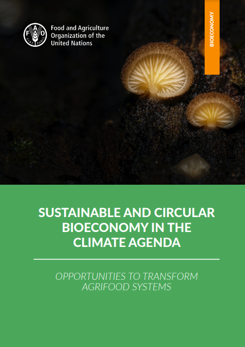 bioeconomy