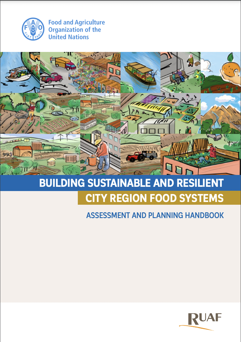Building sustainable and resilient city