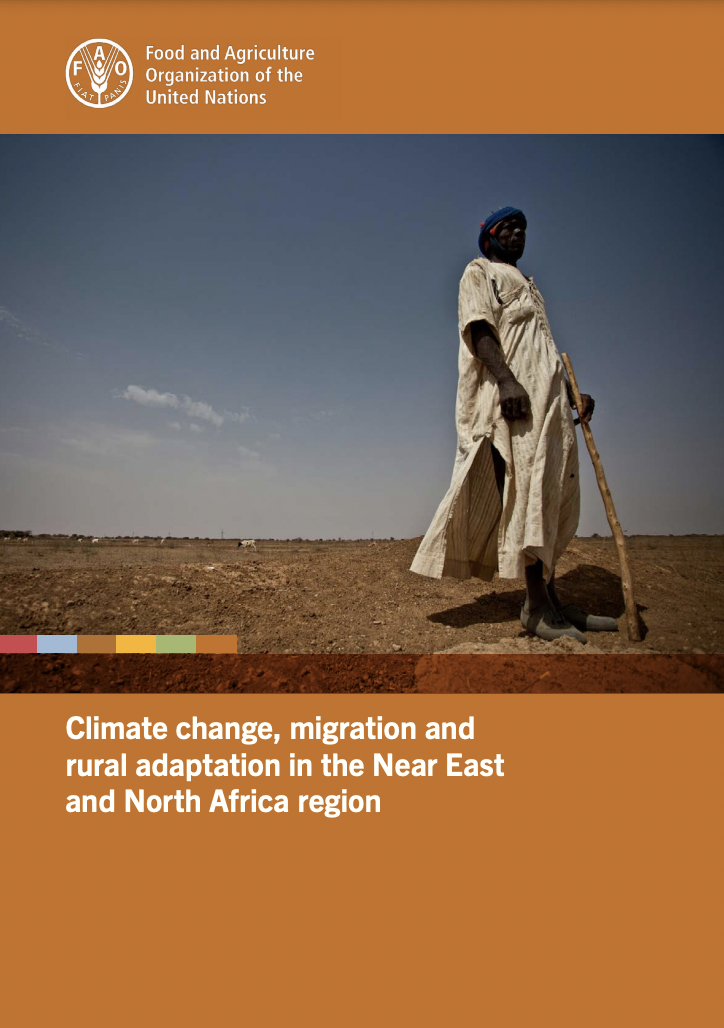 Climate change, migration and rural adaptation in the Near East and North Africa region