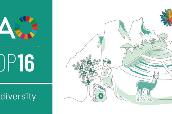COP16 small banner