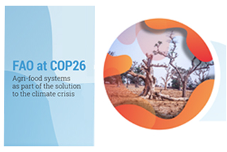 COP26