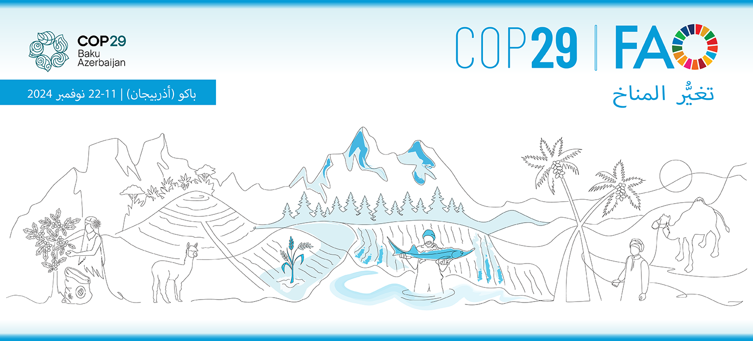 COP29 banner COP29 banner