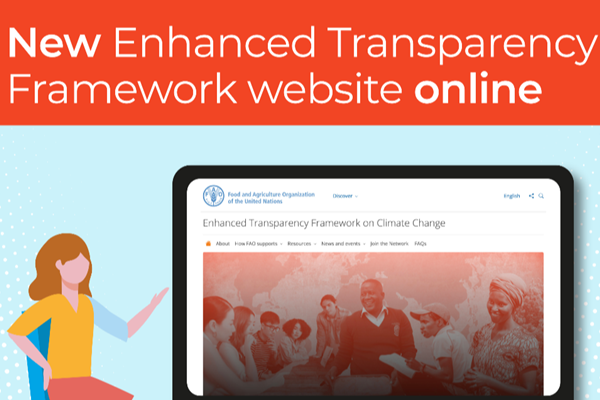 ETF new website social