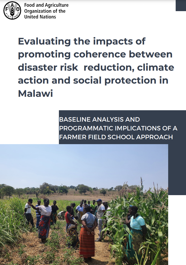 Evaluating the impacts of promoting coherence between disaster risk reduction, climate action and social protection in Malawi