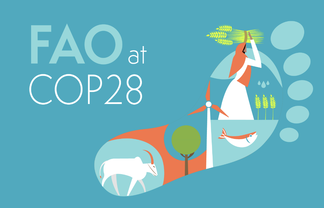 FAO at COP28 banner