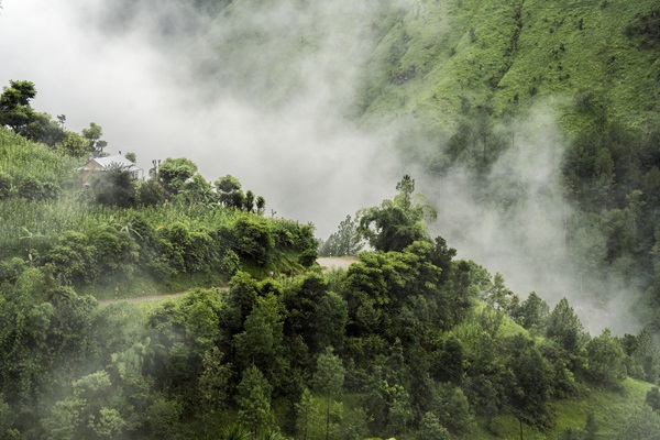 fao-nepal