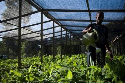 ©FAO/W. Astrada