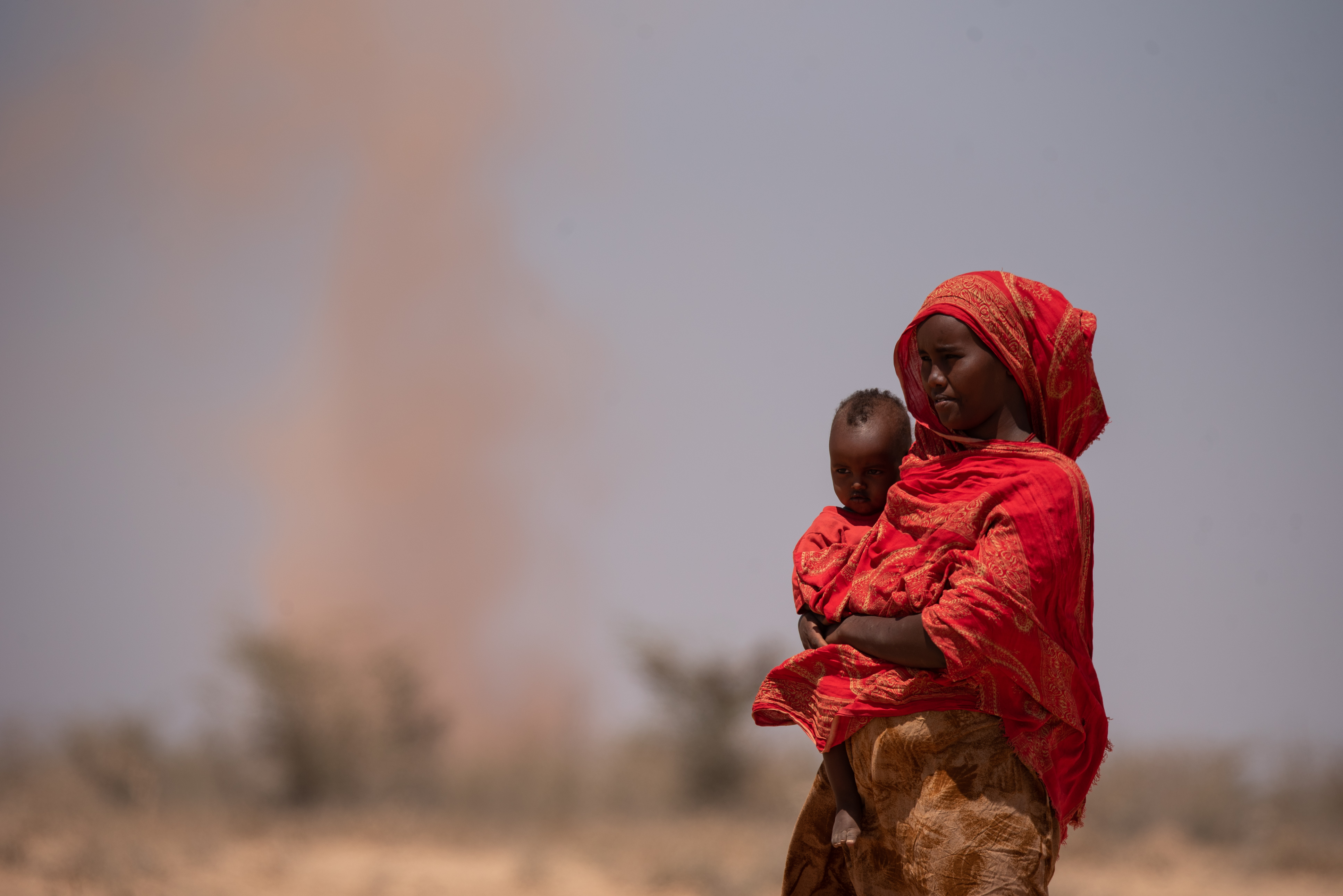The State of the Global Climate and implications for food and agriculture