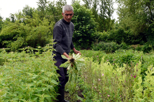fast-partnership-bridges-climate-funding-gap-in-agrifood-systemsac2e0f75-0dc6-4ec6-913b-1e05a068a57e