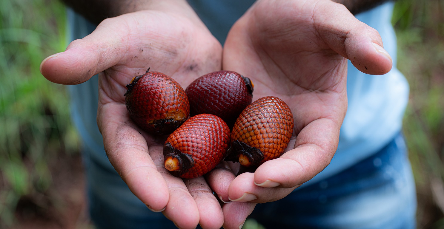 Indicators guide adaptation for agrifood systems transformation