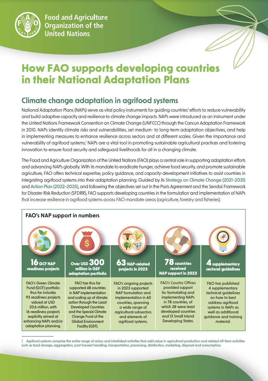 How FAO supports developing countries in their National Adaptation Plans