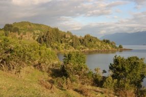 Landscape of Huapi Island and Lake Ranco. © CONAF-FAO/Oscar Concha Landscape of Huapi Island and Lake Ranco. © CONAF-FAO/Oscar Concha