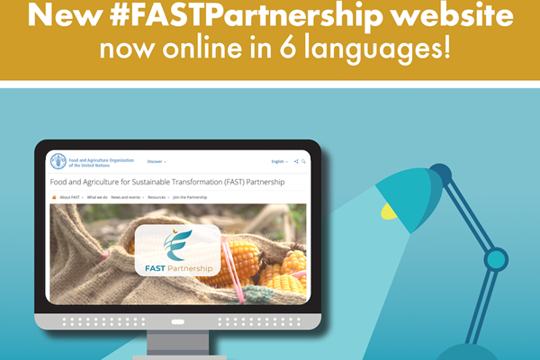 New FAST Partnership website