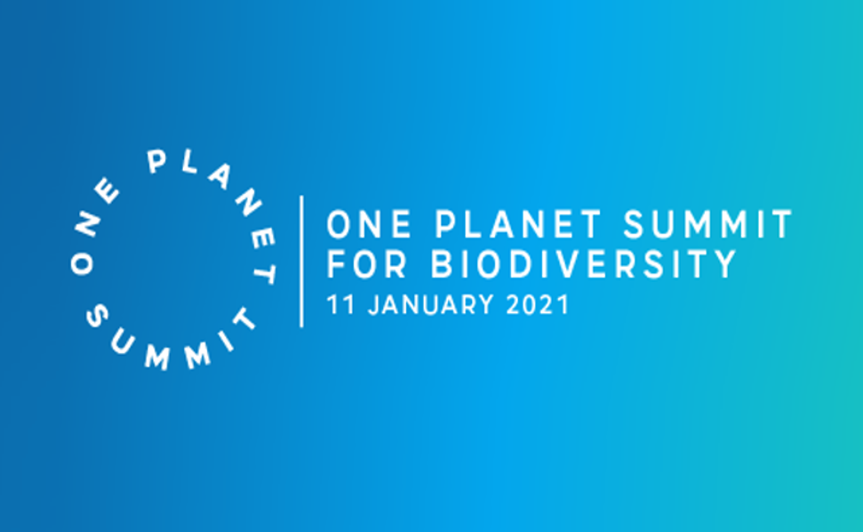 OnePlanet