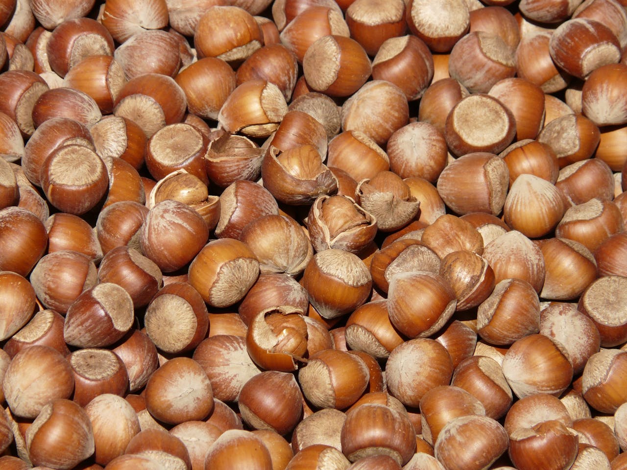 Catalysing the efficiency and sustainability of Azerbaijan's hazelnut sector