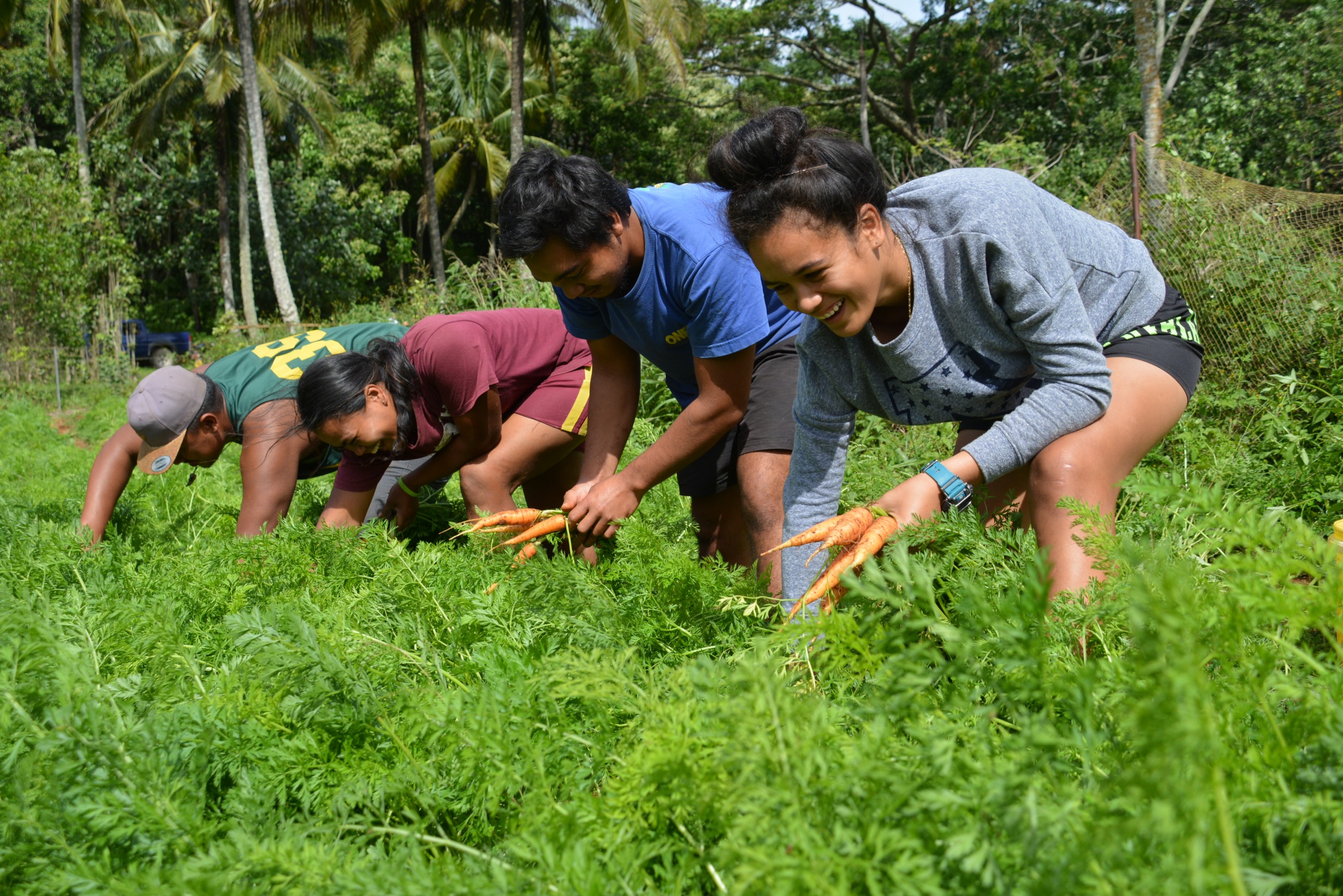 Youth for Green and Climate-Resilient Agriculture Programme (YCRA)