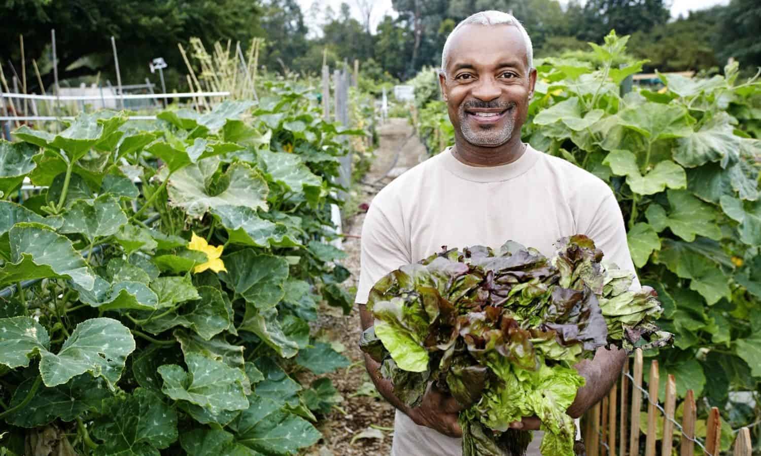 The potential of agroecology to build climate-resilient livelihoods and food systems