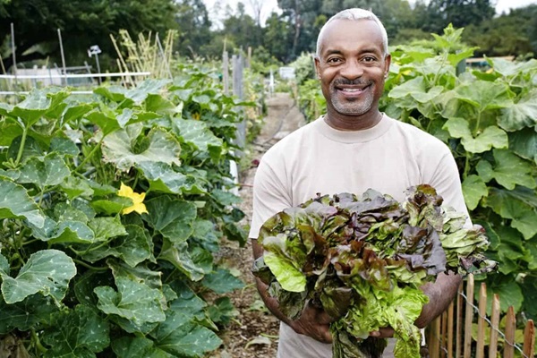 agroecology-LIBERATIN