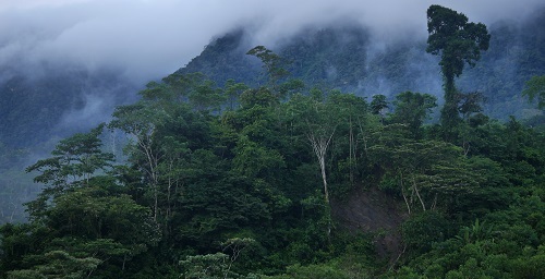 es