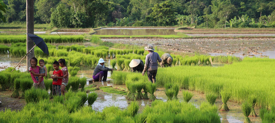 Strengthening Agro-climatic Monitoring and Information System (SAMIS)