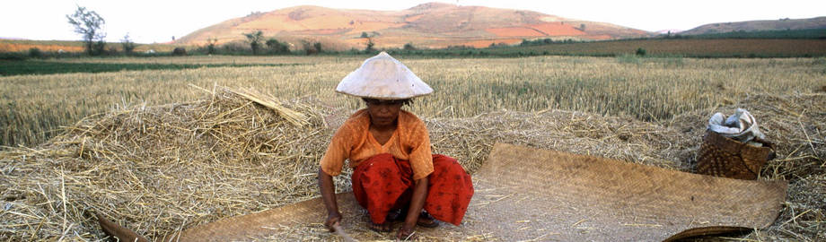 Sustainable Cropland and Forest Management in priority agro-ecosystems of Myanmar