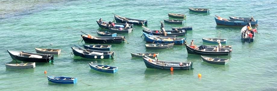 peru_fish2_01