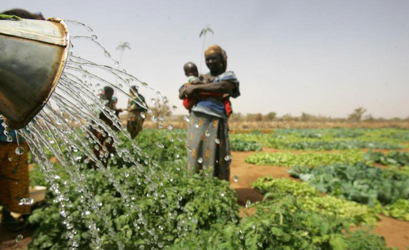 FAO-Adapt: Framework Programme on Climate Change Adaptation