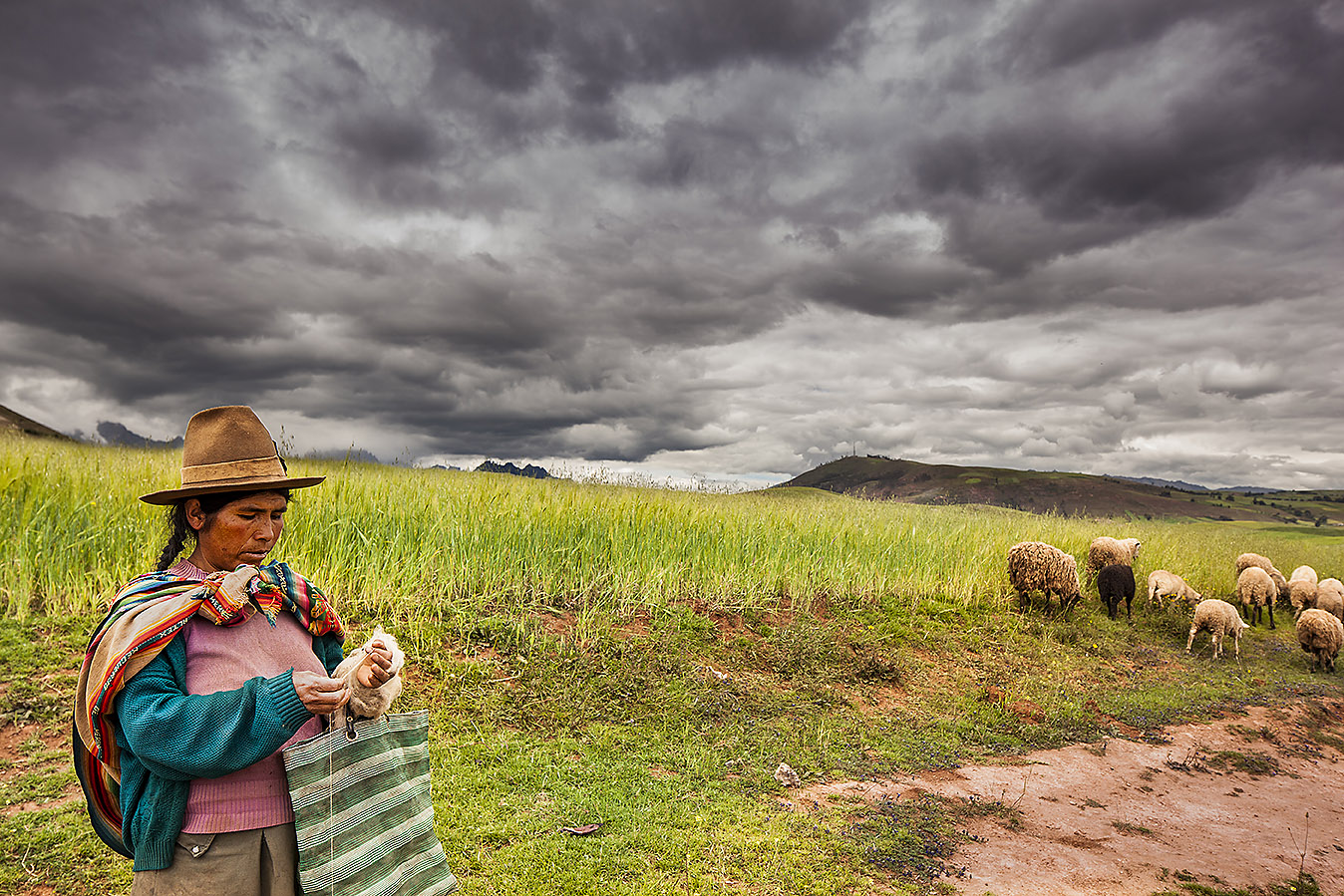 Analysis and Mapping of Impacts under Climate Change for Adaptation and Food Security (AMICAF)
