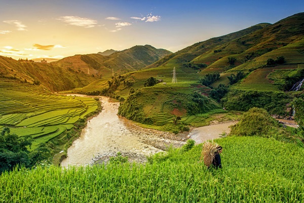 Sustainable-Rice-Landscapes_i1500