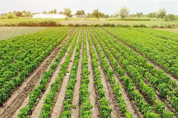 What-Is-Agroecology-2
