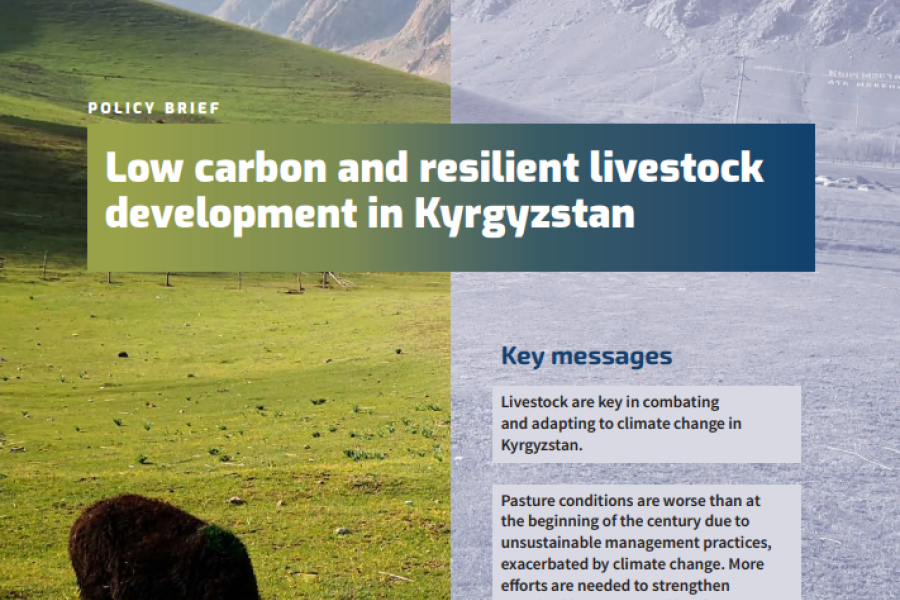 ifad report cover low carbon and resilient livestock dev in KG