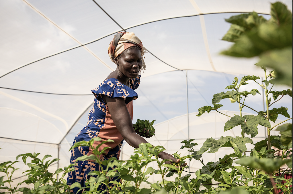 Plastic pollution and agrifood systems: Why One Health matters now more than ever