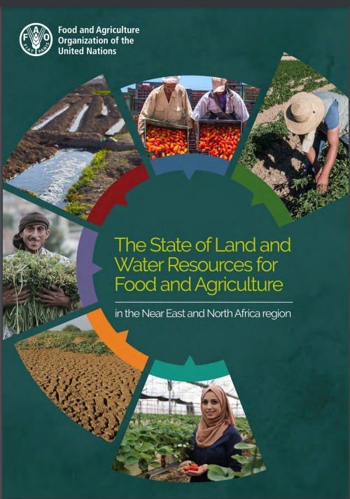 STATE OF LAND