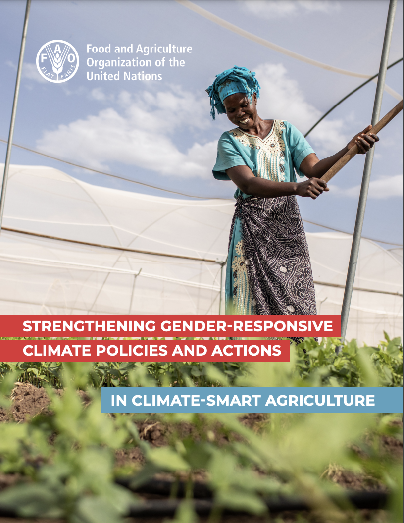 Strengthening gender-responsive climate policies and actions in climate-smart agriculture