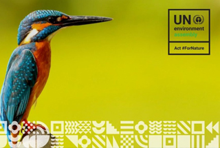 UNEA-5