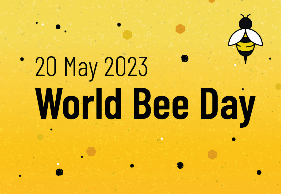 webbutton_wbd23_en