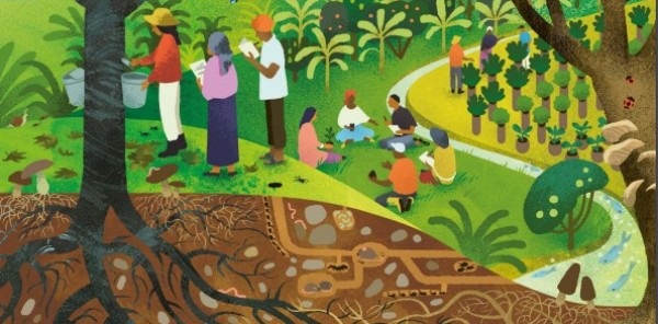 Centro de conocimientos sobre agroecología