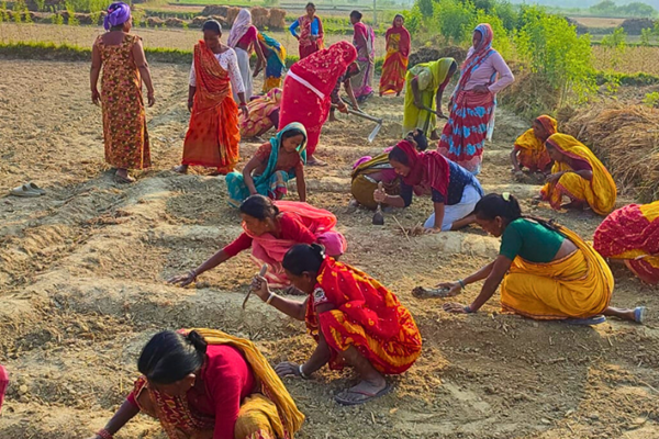 Women at a farmer field school in Nepal Women at a farmer field school in Nepal